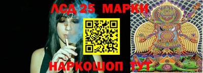 гашик Шебекино
