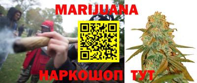 гашик Шебекино