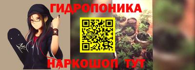 гашик Шебекино
