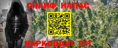 гашик Шебекино