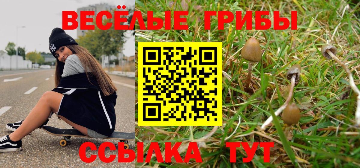 Псилоцибиновые грибы Psilocybe  Вход с VPN  Псилоцибиновые грибы Psilocybine cubensis  где можно купить наркотик  Ачхой-Мартан 