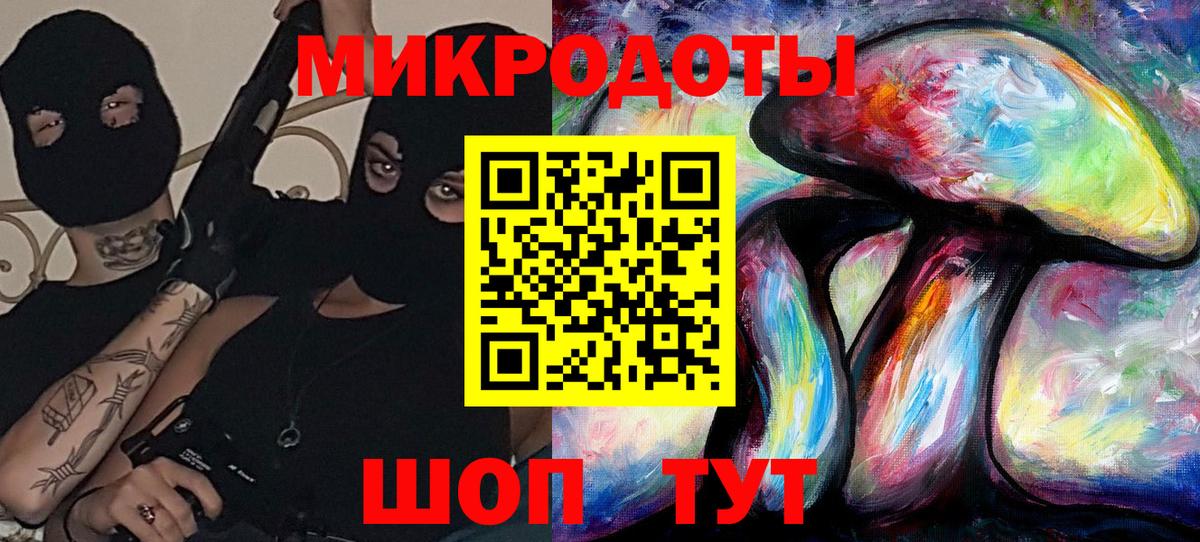 Галлюциногенные грибы Psilocybine cubensis Ачхой-Мартан
